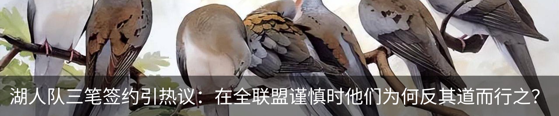 新闻中心